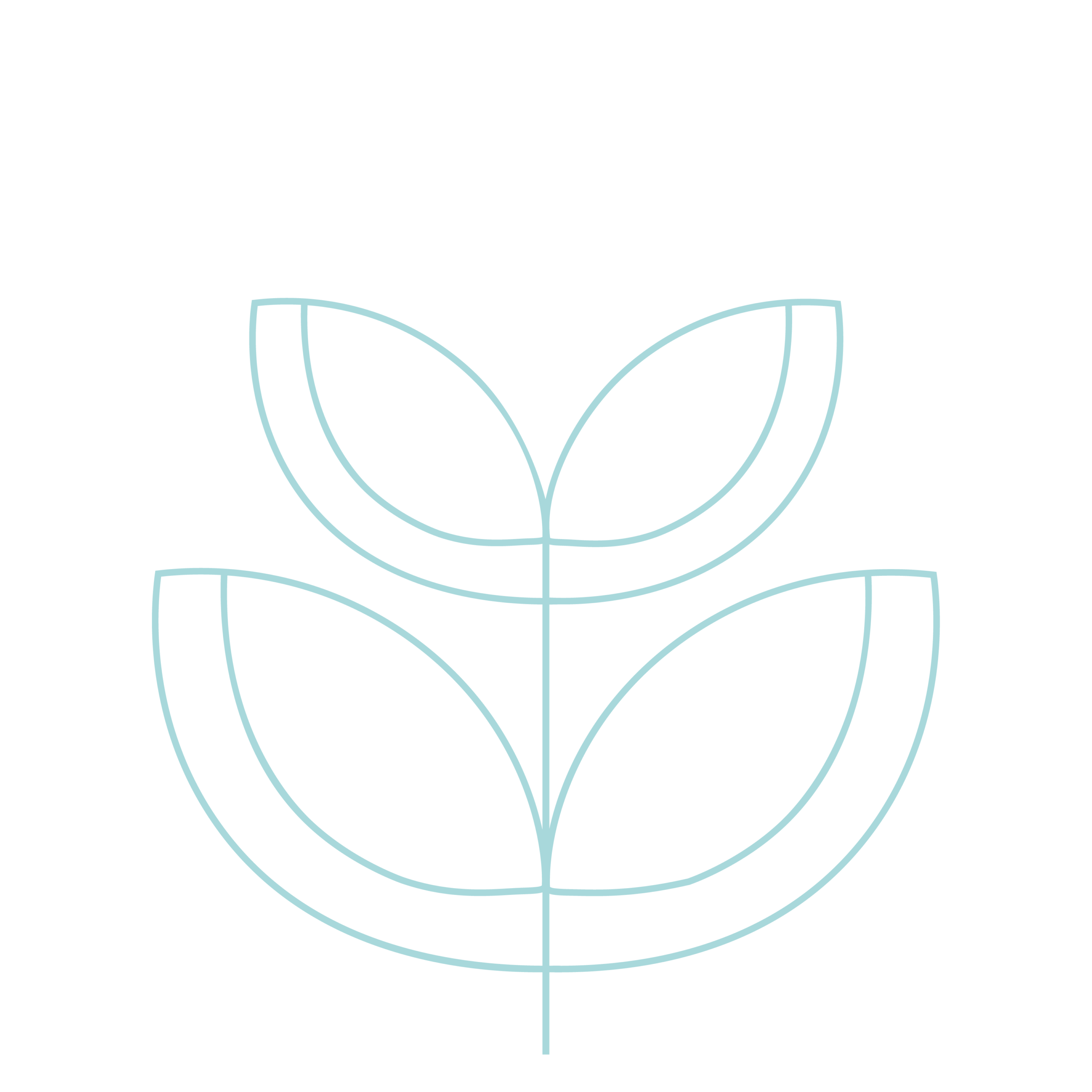 Grafik Pflanze - Stufe 2