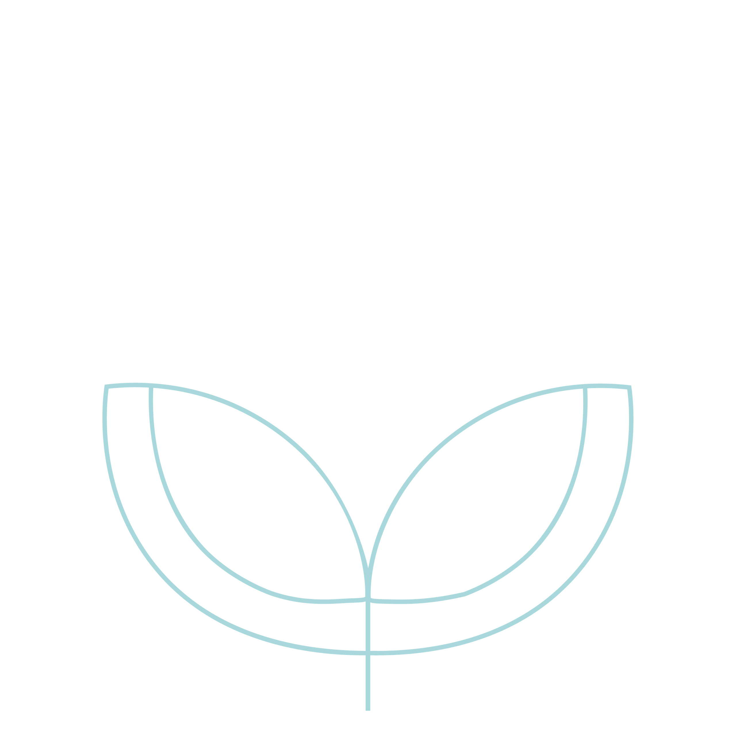 Grafik Pflanze - Stufe 1