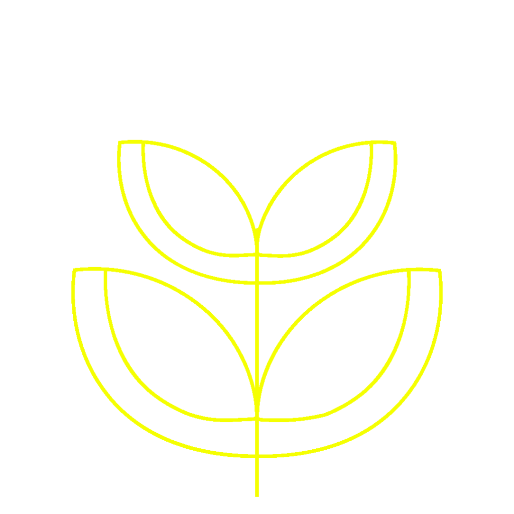 Grafik Pflanze - Stufe 2
