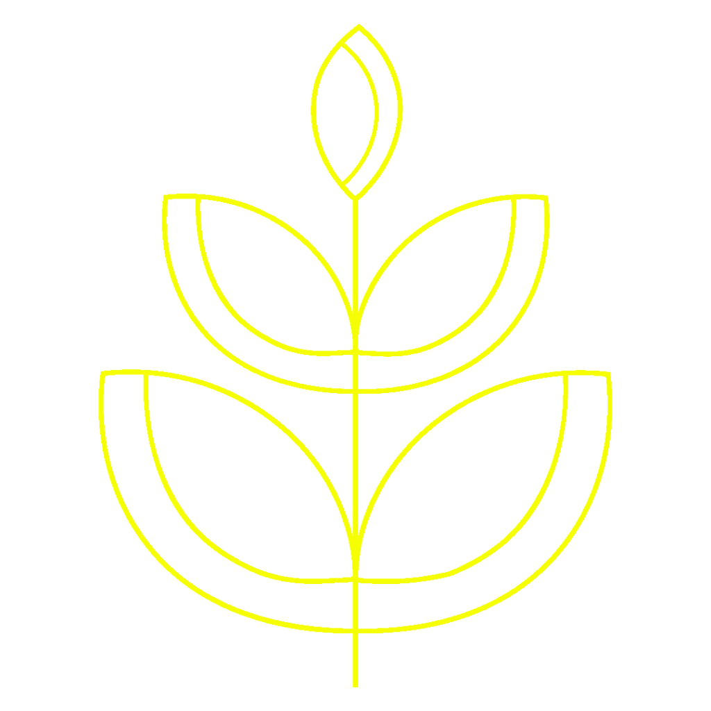 Grafik Pflanze - Stufe 3